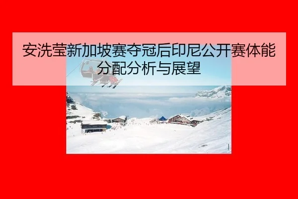an-xi-ying-xin-jia-po-sai-duo-guan-hou-yin-ni-gong-kai-sai-ti-neng-fen-pei-fen-xi-yu-zhan-wang-2-384.jpg